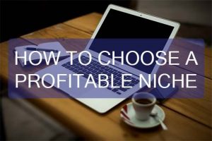 Choose a Profitable Niche