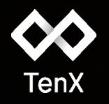 TenX Coin Review